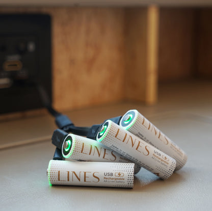 AA USB-C Rechargeable Batteries